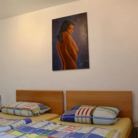 Karolus Apartment Sinsheim